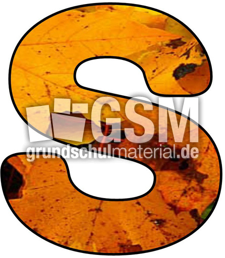 Herbstbuchstabe-2-S.jpg